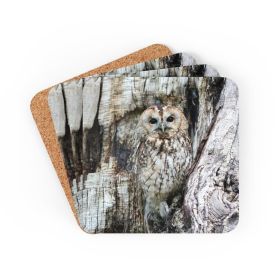 Corkwood Coaster 4 Piece Set, Grey Owl Coasters